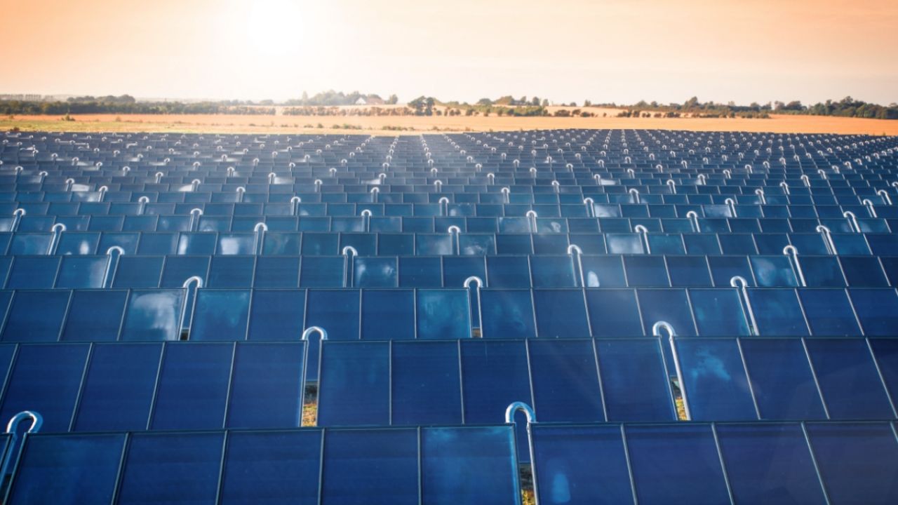 Photo of a solar farm